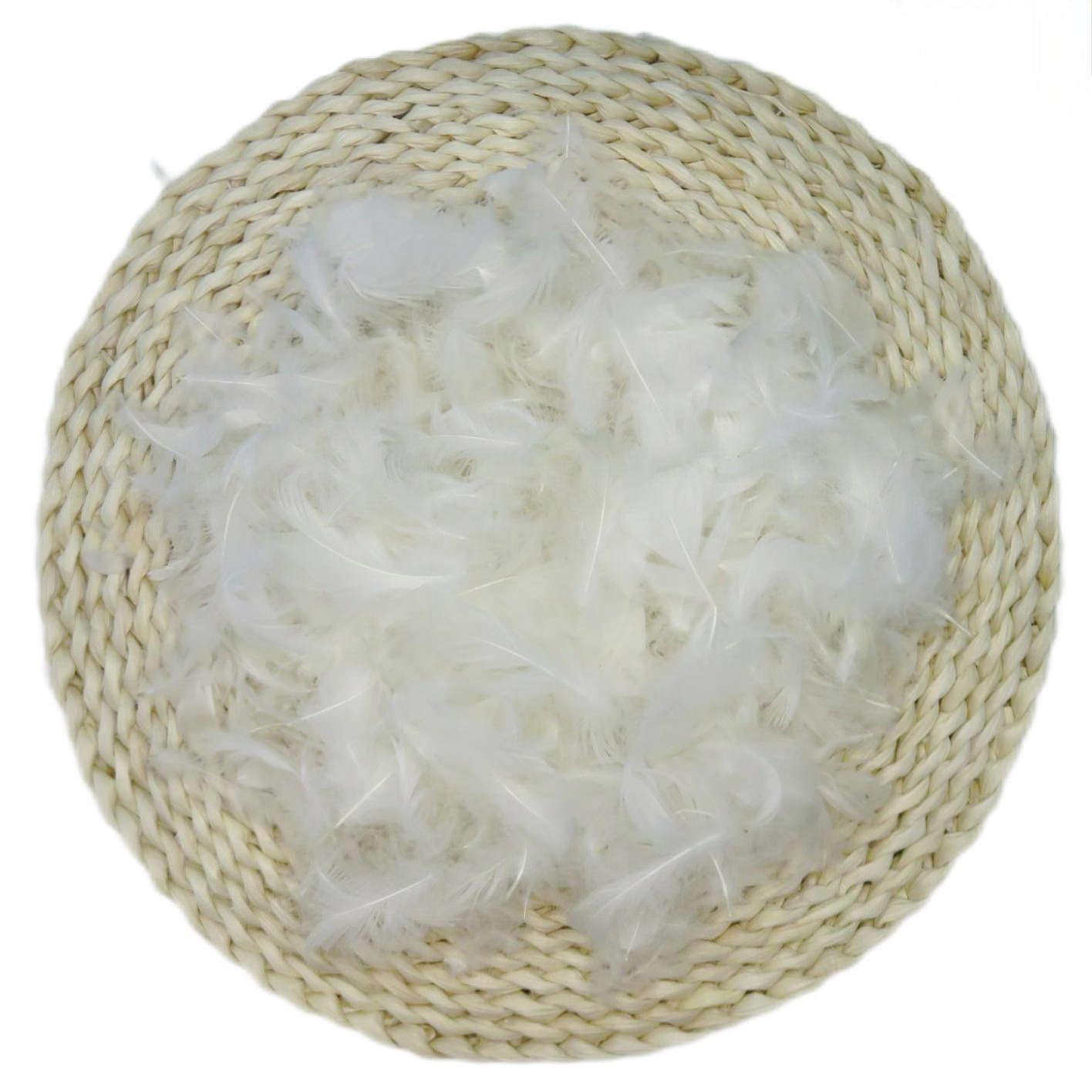 2-4水洗白鹅毛片用于抱枕沙发枕芯床垫羽绒羽毛羽绒棉厂家供散装