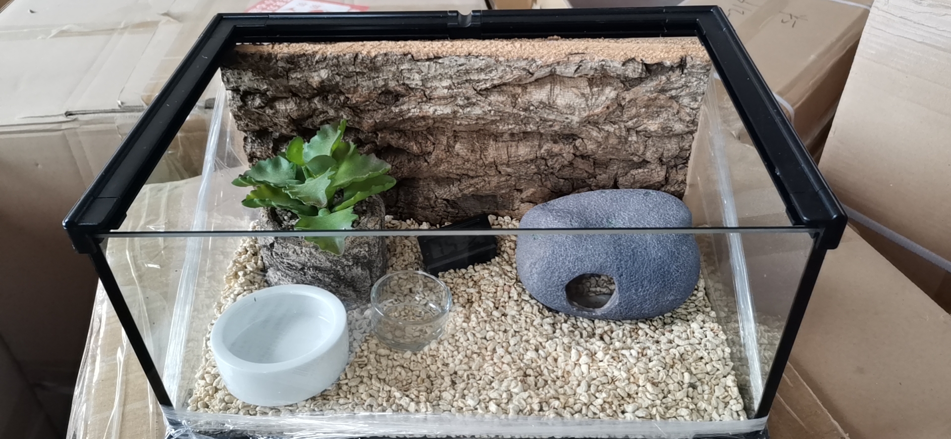 守宫哥哥透明玻璃饲养缸爬宠套装