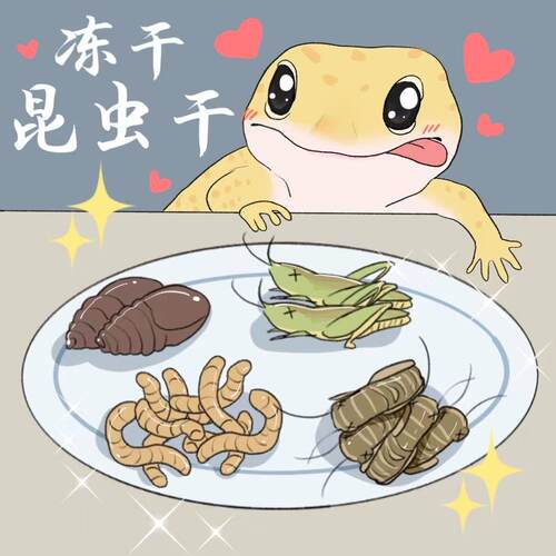 保鲜冻干面包虫蟋蟀爬虫守宫蜥蜴仓鼠龙鱼刺猬食物乌龟非活体饲料 - 封面