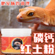 豹纹守宫磷钙红土粉调理肠胃拉稀拒食肥尾守宫蜥蜴宠物增强免疫力