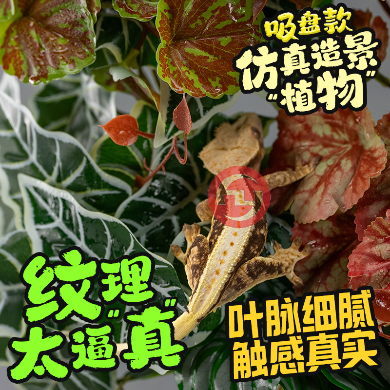 吸盘仿真植物爬宠箱造景装饰