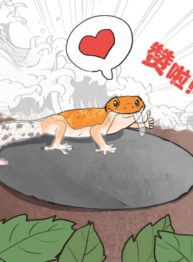 爬虫守宫蜥蜴帮助脱皮岩板石板磨指甲垫材食盆爬宠箱垫材装饰保湿