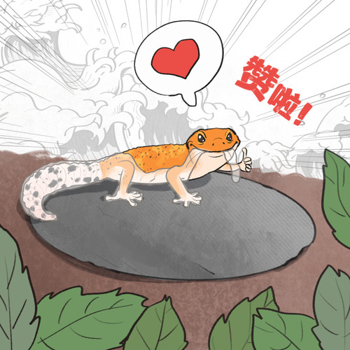 守宫哥哥岩石板食盆垫材帮助蜕皮