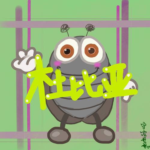 活体爬虫蜥蜴守宫杜比亚蟑螂鸟食