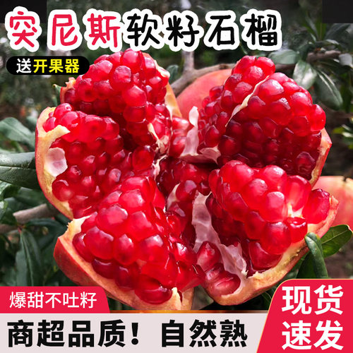 食韵轩会理突尼斯软籽石榴当季