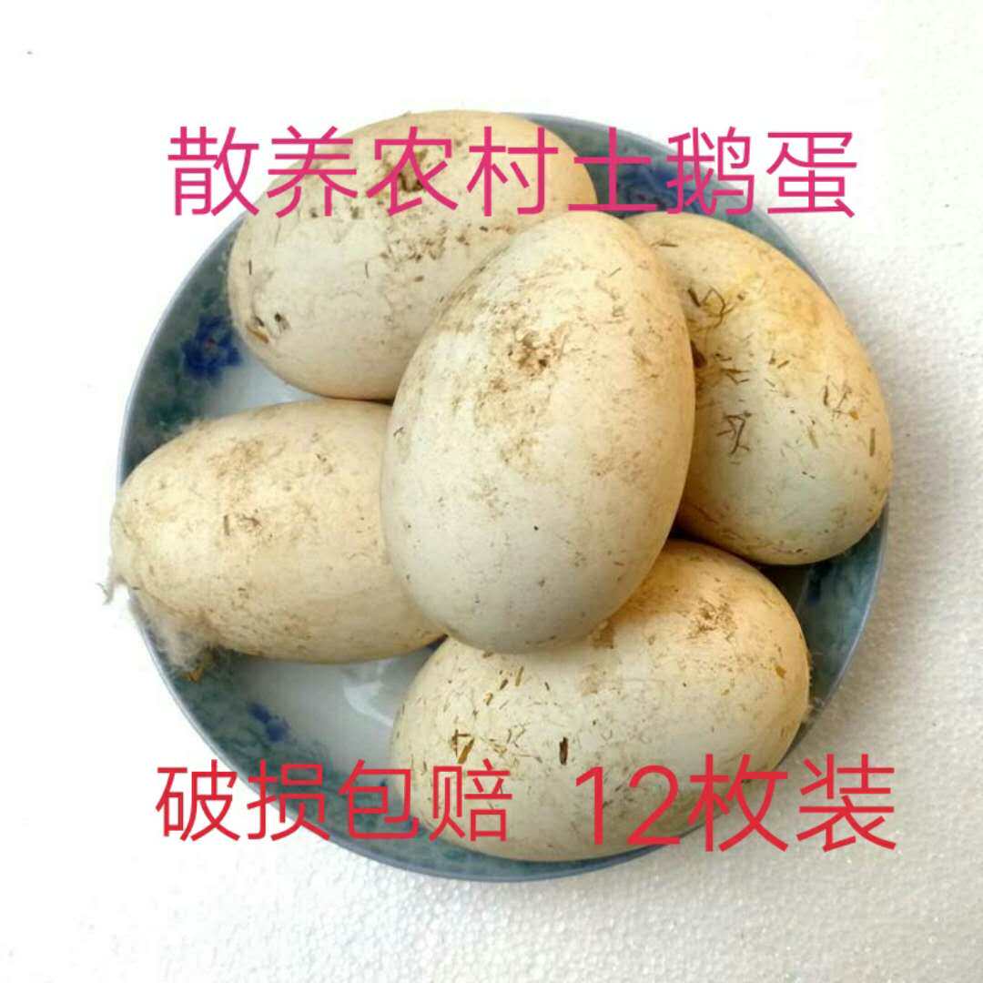 散养新鲜土鹅蛋12枚破损包赔