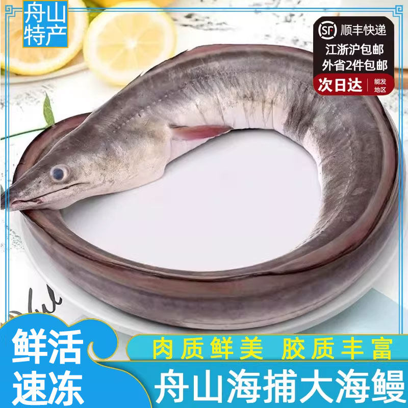 舟山海鲜深海新鲜海鳗鱼鲜活水产冷冻整条冰冻海捕鳗鱼曼鱼段生鲜