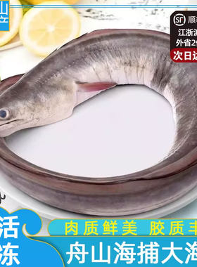 舟山海鲜深海新鲜海鳗鱼鲜活水产冷冻整条冰冻海捕鳗鱼曼鱼段生鲜