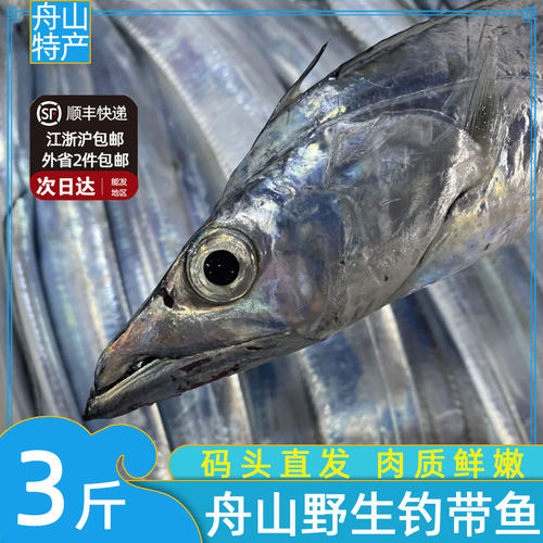 舟山海钓带鱼新鲜海鲜水产鲜活冷冻整条特级大东海刀鱼