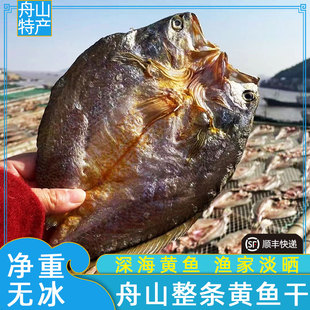 新晒舟山大黄鱼鲞干黄花鱼干刺少温州宁波干货特产风干白鲞咸鱼干