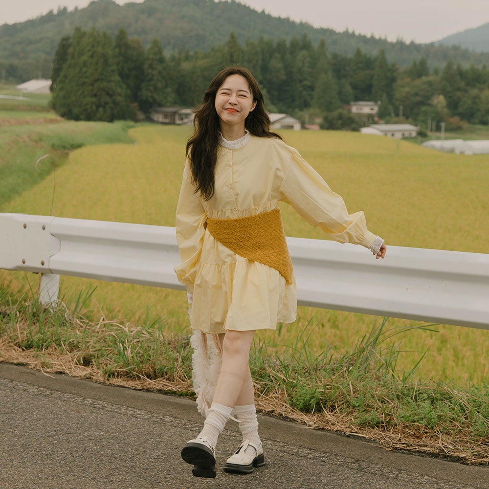 中山领蛋糕层次感短连衣裙