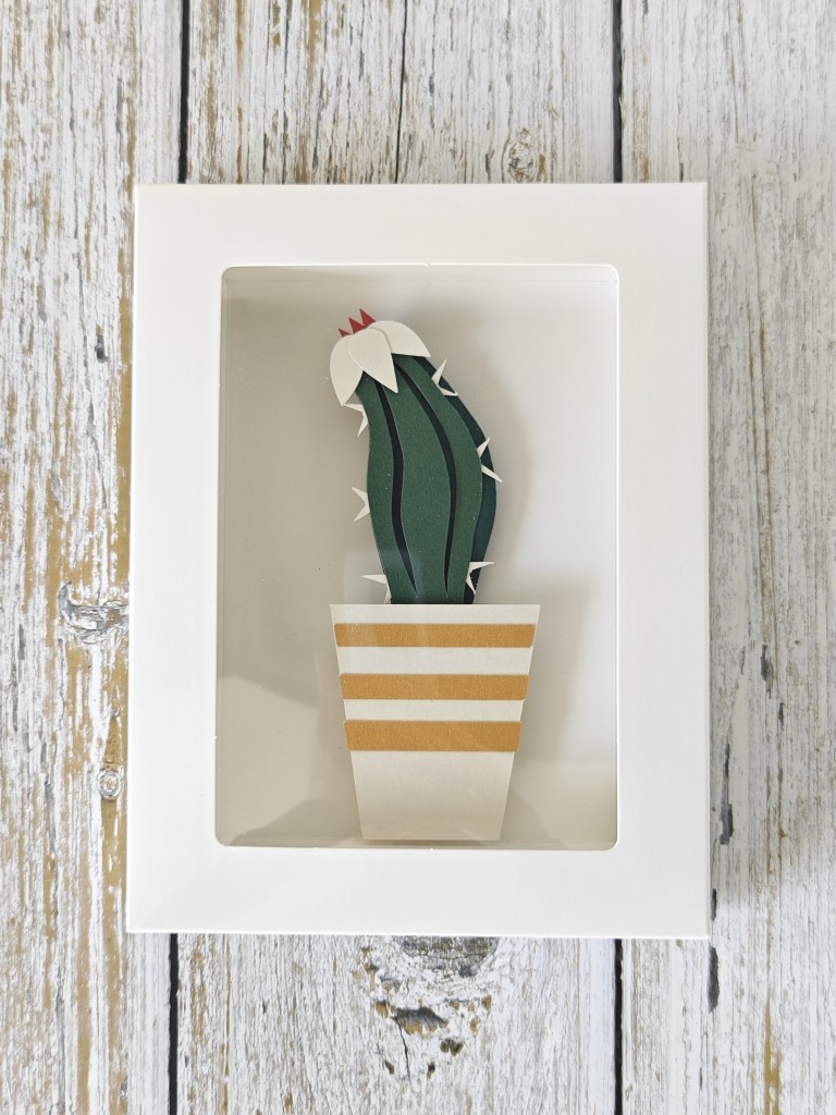 手工DIY相框拼贴画绿植仙人掌材料包艺术创作创意立体解闷装饰