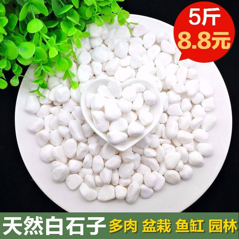 天然小白铺面盆栽造景装饰鹅卵石