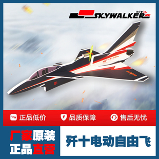天行者歼十电动自由飞J10迷你模型飞机 武汉竞赛te供机型