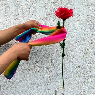 大卫魔术道具玫瑰漂浮 舞台魔术玫瑰悬浮初学者泡妞撩妹魔术花朵