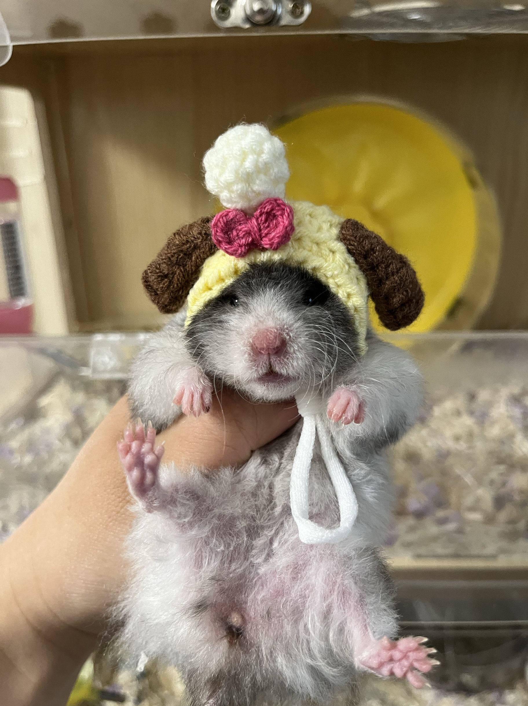 手工钩织仓鼠金丝熊帽子厨师小狗饼饼可爱头套