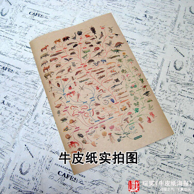 进化论图谱达尔文进化论动物图谱海报科学知识画报定制印刷