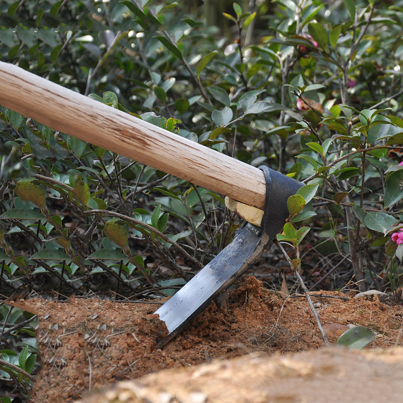 锄头 农具锻打种菜 木柄条锄 种花种菜锄头 园林园艺工具挖笋犁地