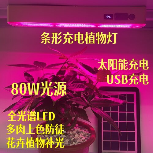 条形充电植物灯太阳能补光灯