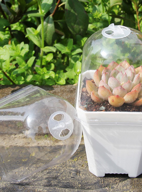 加厚小黑方彩方大方透明闷养盖多肉PP生石花玉露十二卷方盆保温罩