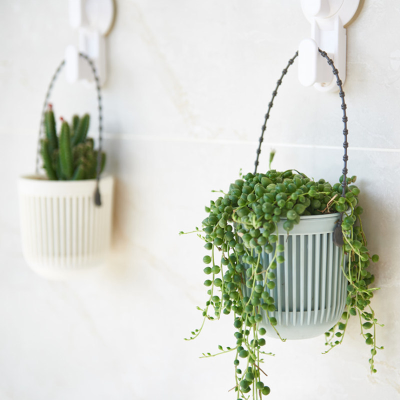 韩式小吊篮花盆壁挂式小吊盆家用多肉小植物花盆悬挂吊篮塑料花盆