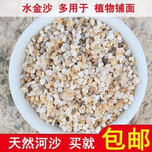 天然粗河沙粗砂多肉铺面配土粗沙子颗粒种植河砂水族鱼缸底砂包邮