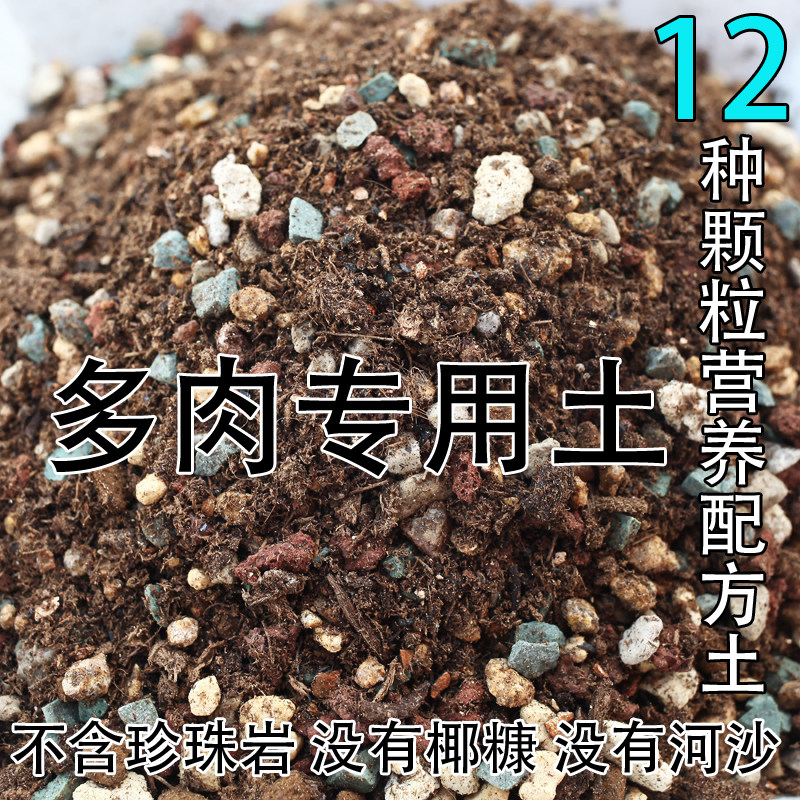 进口多肉植物专用土5斤