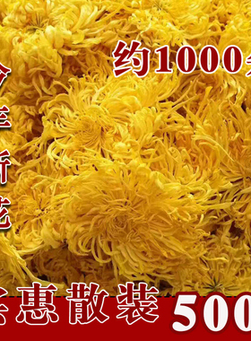 金丝皇菊散装500克菊花茶1斤大朵火锅饭店茶楼商用婺源皇菊散称装