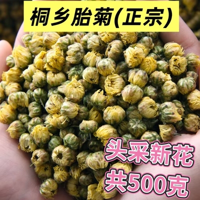 杭白菊花菊花茶胎菊散装一斤500g