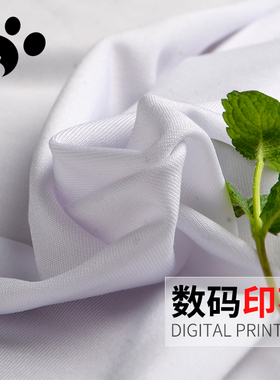 样卡51#牛奶丝/四面弹力/演出舞台舞蹈服装/紧身衣/袜子/布料面料