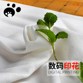 厚雪纺 古装 100D乱麻雪纺 样卡62 不透夏装 连衣裙 衬衫 布料面料