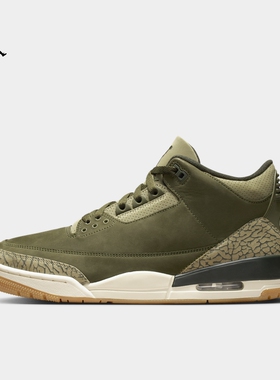 Jordan25新款Nike耐克男子板鞋AJ3复刻缓震中帮休闲运动鞋DN3707