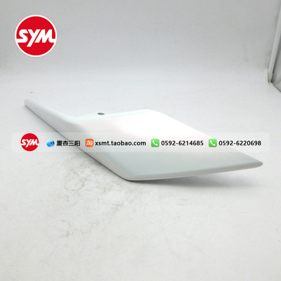 SYM 厦杏三阳 XS150T-10A DRG二代 龙二左后扶手 尾翼 后货架