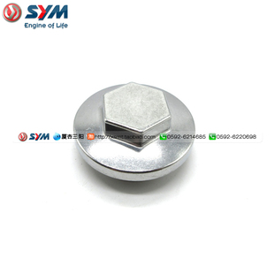 SYM 厦杏 三阳机车 MAXSYM TL 500 400 机油滤网盖 放油 螺丝