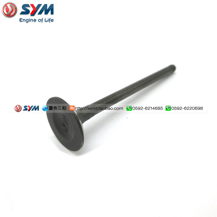 SYM 厦杏 三阳机车 XS125T-16C 飞度4 FIDDLE 排气门 汽门