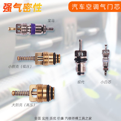 汽车空调气门芯多款可选