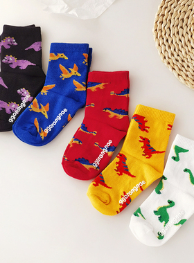 caras韩国儿童恐龙袜子棉袜男童春秋季卡通彩色可爱宝宝中筒