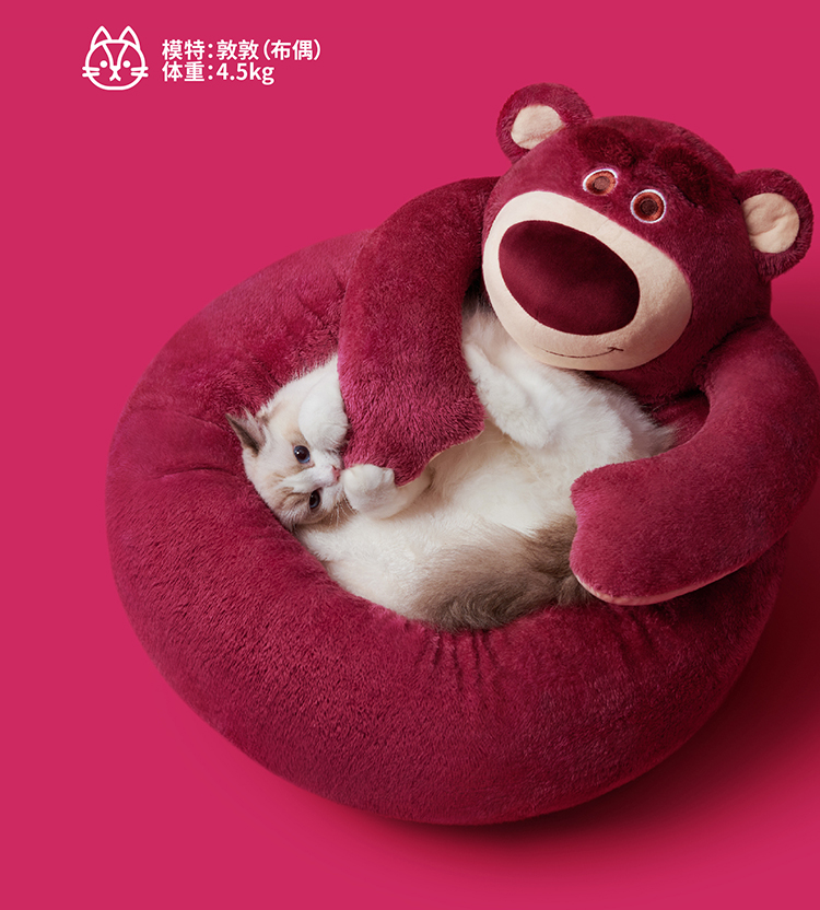 宠物窝未卡草莓熊英短皮克斯