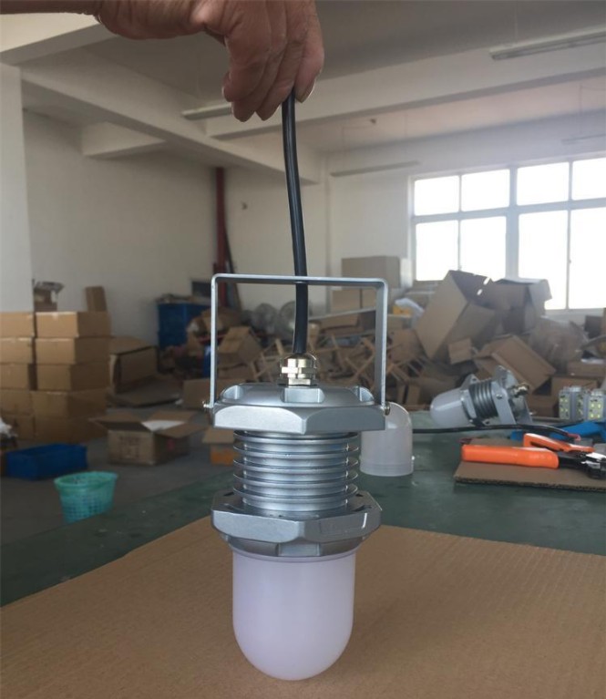 FW6325防爆行灯 LED防爆行灯 12/24/36/220V电压定制 10瓦行灯