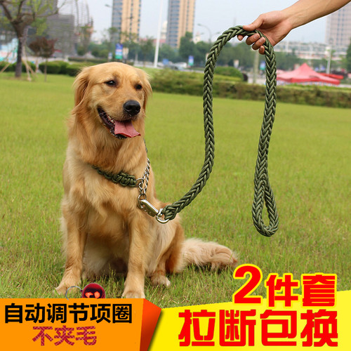 中型大型犬狗狗金毛P链带用品
