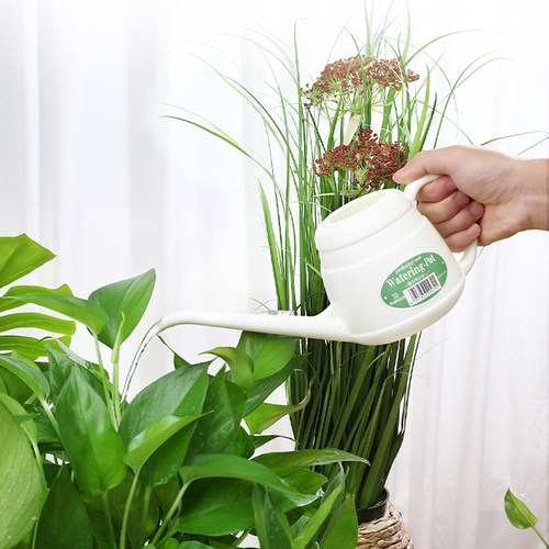 日本进口浇水壶NAKAYA尖嘴浇花壶