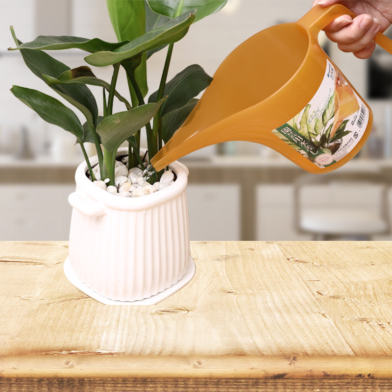 日本进口浇花壶长嘴浇水壶尖嘴花洒家用园艺小多肉盆栽细嘴浇水桶,鲜花速递/花卉仿真/绿植园艺,洒水/浇水壶,淘宝优惠券,粉丝福利购,淘宝优惠卷