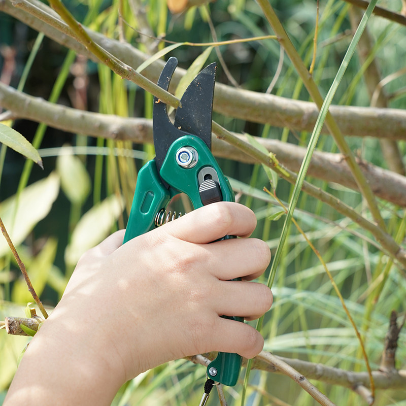 日本ECHO园艺剪刀园林修枝剪果树树枝花艺家用盆景花卉剪刀带锁扣