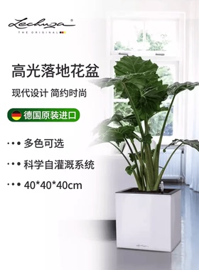 Lechuza德国进口自吸水花盆客厅户外落地储水大口径方形canto系列