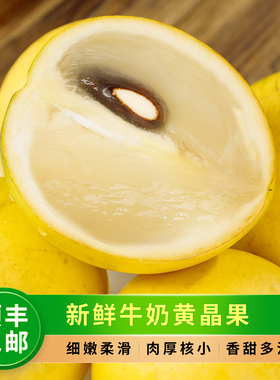 新鲜牛奶黄晶果现摘黄金果当季冬蜜黄金宝石蛋黄果整箱装顺丰包邮