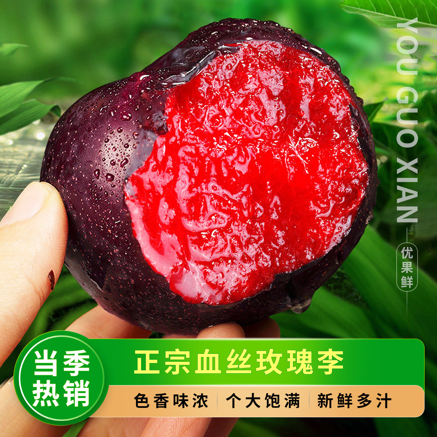 正宗玫瑰血丝李，新鲜现摘李子！