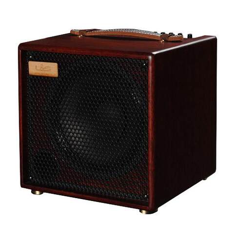 丽声 LSM Free Man 100 I 原声吉他木吉他音箱