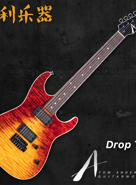TomAnderson DropTop FireWakeSurf美产手工电吉他【多利乐器】
