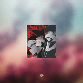 TLP反光车贴 守望先锋OW黑暗守望者死神麦克雷源氏风挡玻璃摩托车