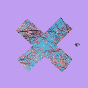 自然樱花椰树雨夜国潮遮痕贴纸 十字叉叉四季 TLP反光车贴 XXX季